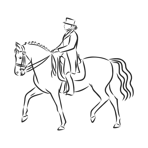 A sketch of a dressage rider on a horse executing the half pass.