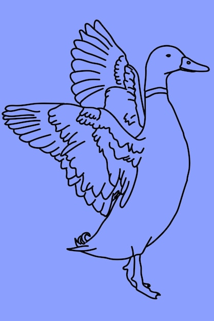 sketch duck line art