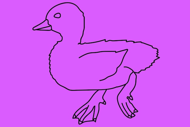 sketch duck line art