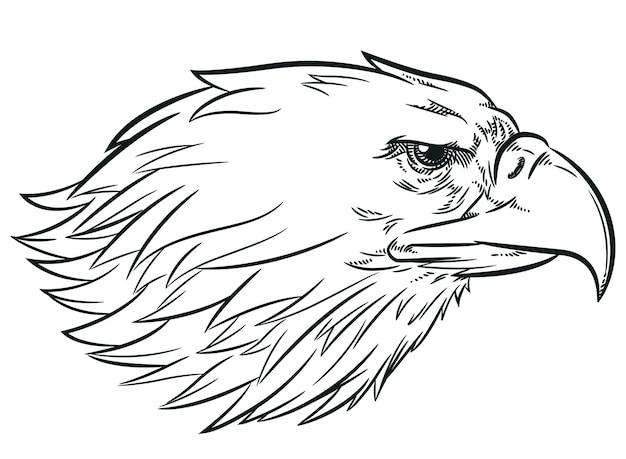 Sketch Eagle Head Side View Profile