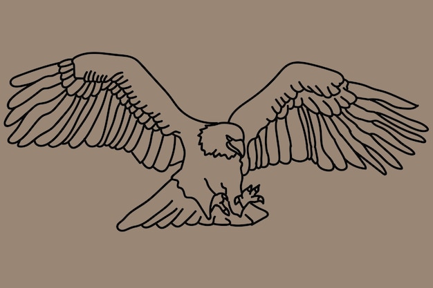 sketch Eagle line art