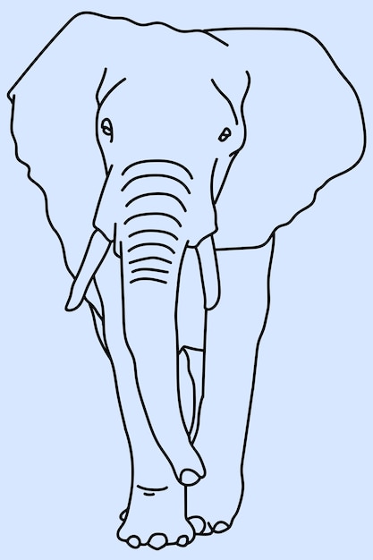 sketch elephant line art