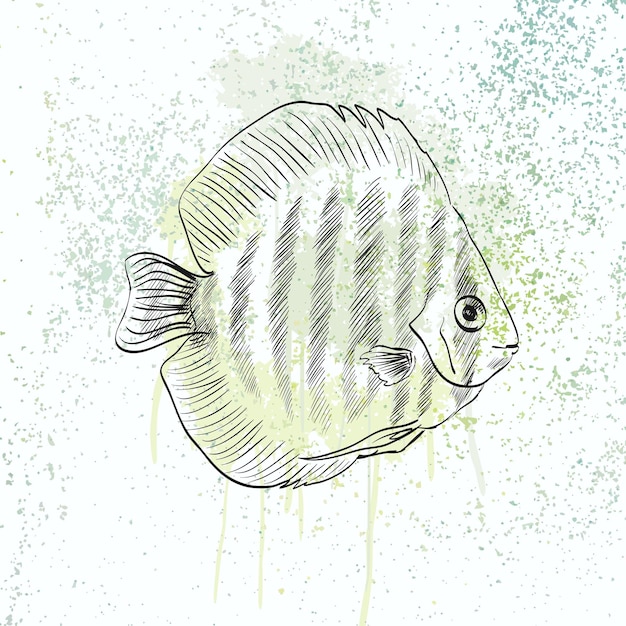 Sketch of a fish