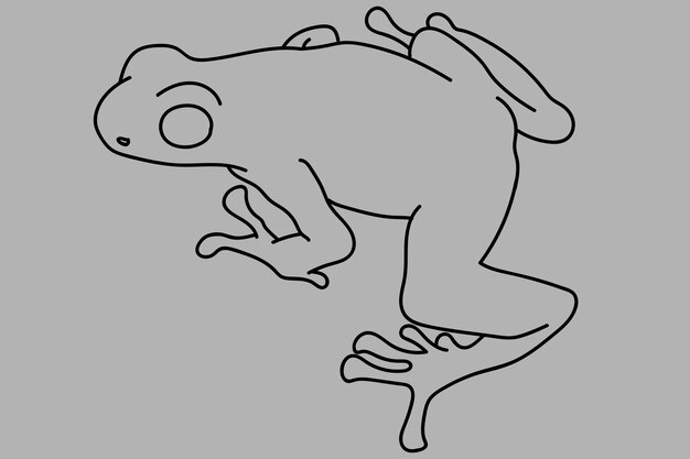 sketch frog line art