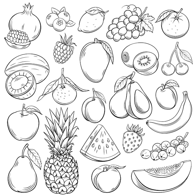  sketch fruits and berries icons set. Decorative retro style collection hand drawn farm product for restaurant menu, market label. Mango, blueberry, pineapple, mandarin and etc.