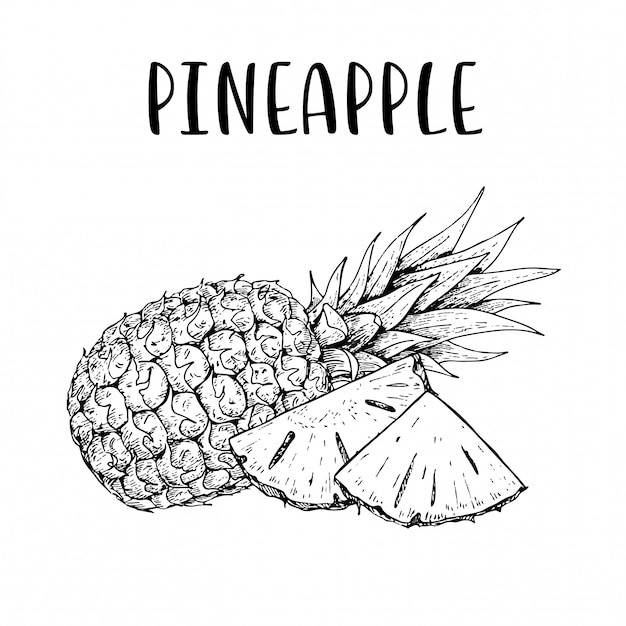 Sketch hand drawn Pineapple