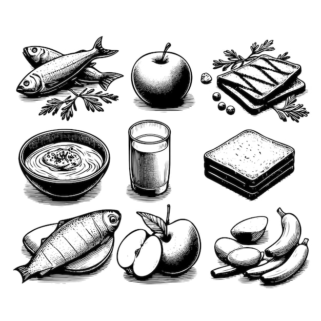 Vector sketch hand drawn set of healthy food ingredient doodles