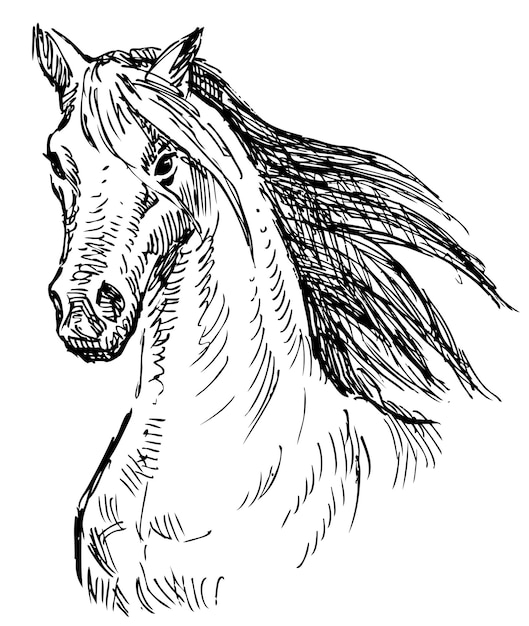 Sketch of head running horse