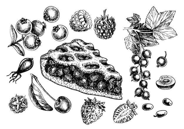 Vector sketch isolated slice of berry pie. hand drawn illustration home bake on white background. different types of berries for the pie. strawberries, raspberries, currants, cherries, blueberries sketch