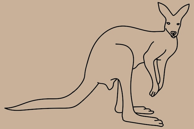 sketch kangaroo line art