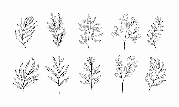 Sketch of leaves and twigs set of plants for decoration natural sketches