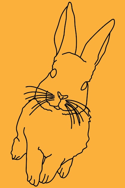 sketch rabbit line art