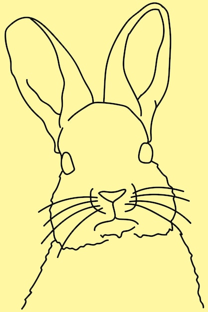 sketch rabbit line art