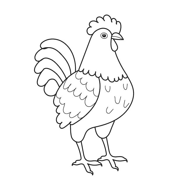 Sketch rooster chicken on white background isolated vector