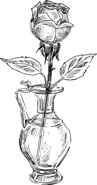 Sketch of a rose in a glass vase