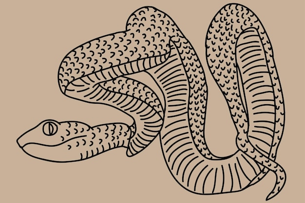 sketch snake line art