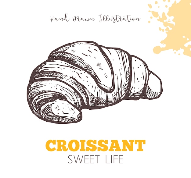 Sketch Of Sweet Croissant isolated on white