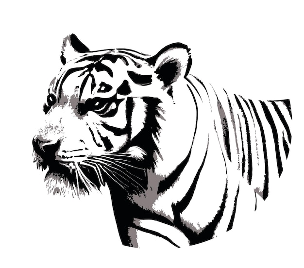 Sketch tiger portrait.Symbol of courage and new year.Vector illustration