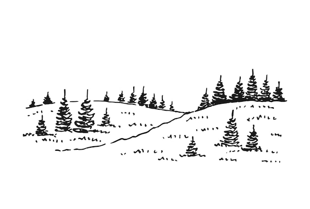 Sketch of wild nature with forest Hand drawn illustration converted to vector