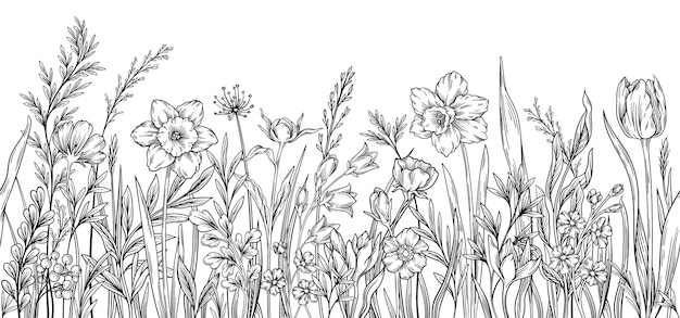 Sketch of wildflowers