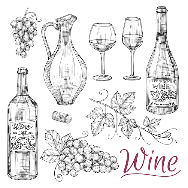 Sketch wine vector elements - bottles, glasses, grapes and jug