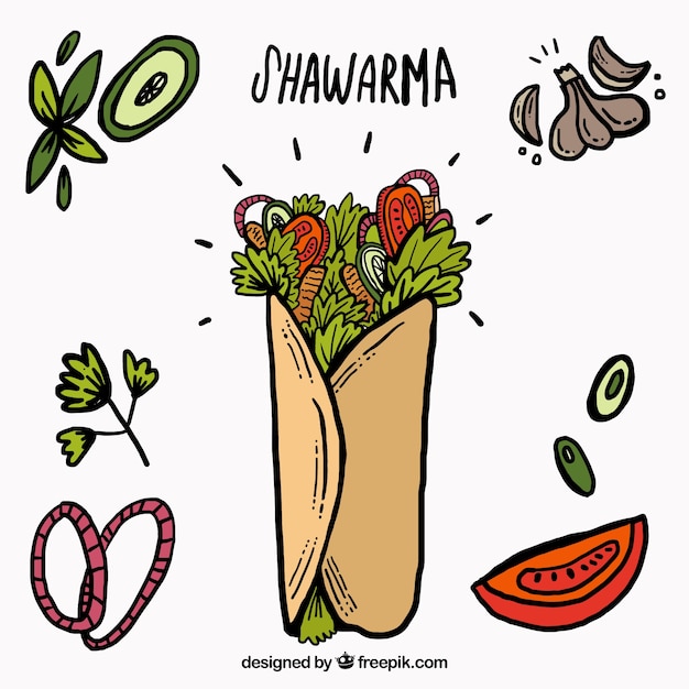 Sketches shawarma with ingredients