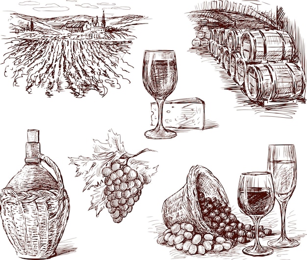 Sketches of theme of wine making