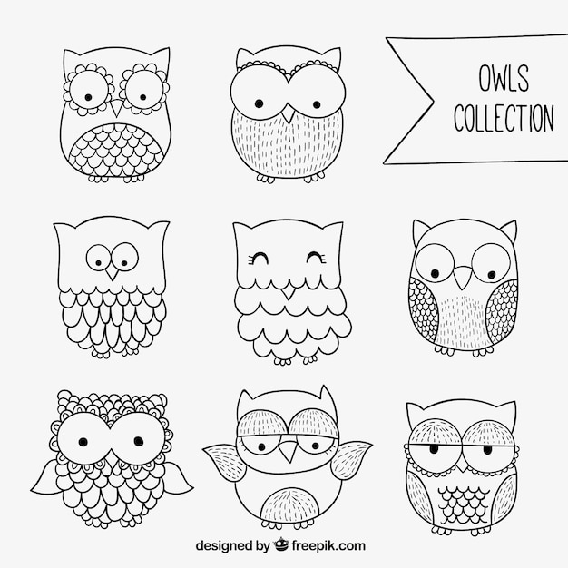 Vector sketchy owls collection