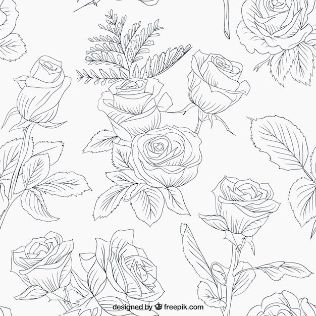 Sketchy roses and leaves pattern