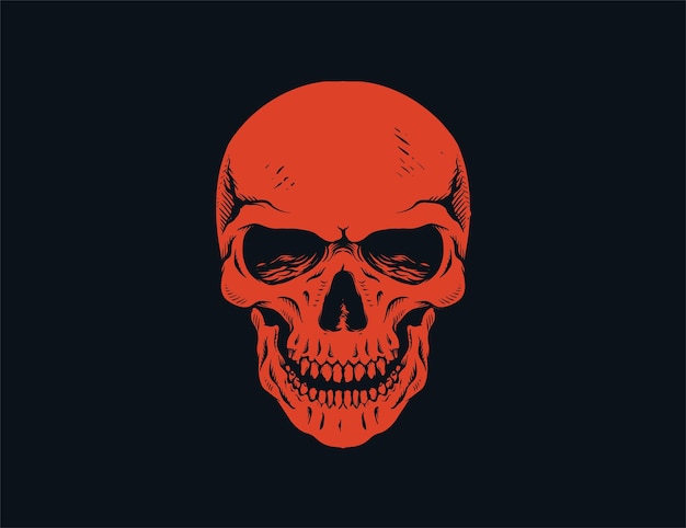 Skull on the dark vector