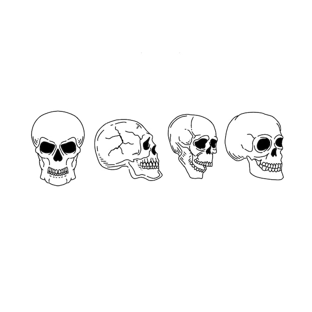 skull hand drawn doodle illustrations vector set