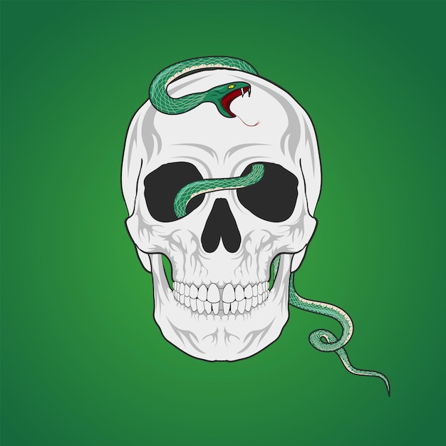 Skull Head Vector Illustration With Dangerous snake