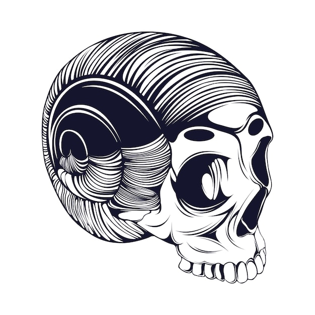 Skull Human Line Art Vector Illustration