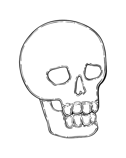 Skull human remains doodle linear