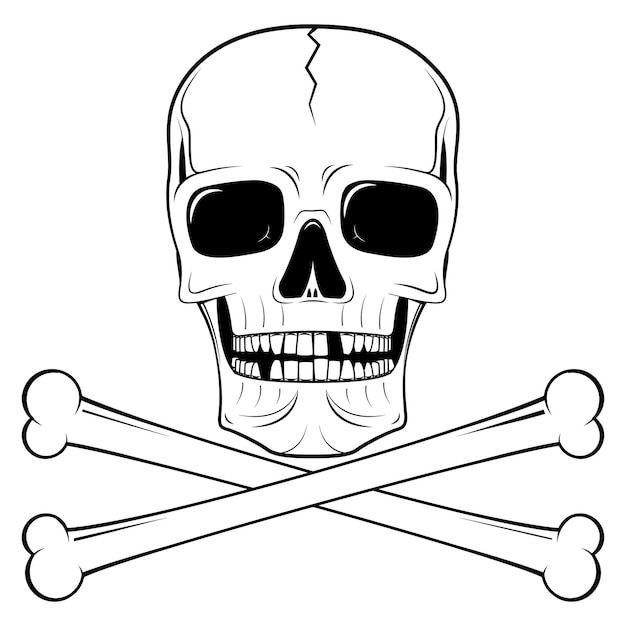 Skull illustration pirate flag