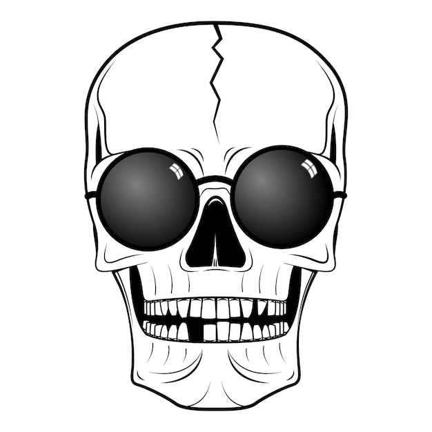 Skull illustration sunglasses