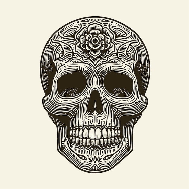 skull illustration with engraving style