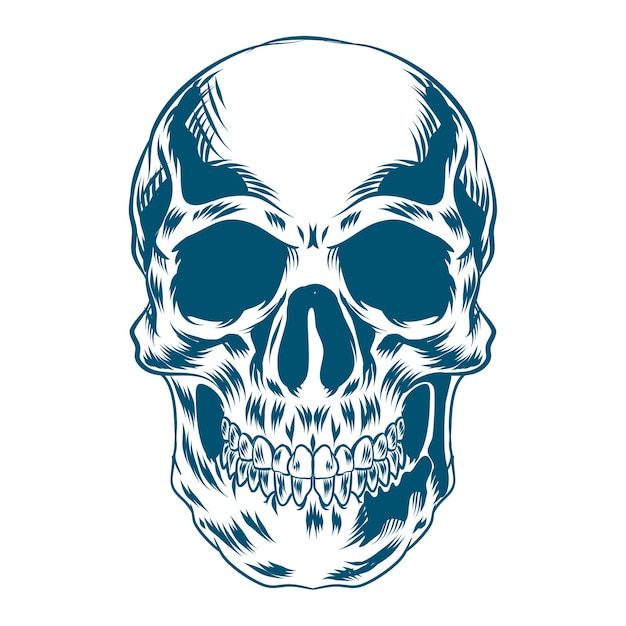 Skull Illustration