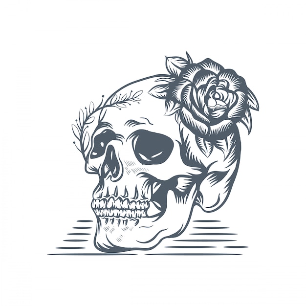 Skull rose  illustration