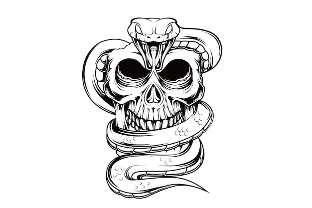 skull snake hand drawing illustration