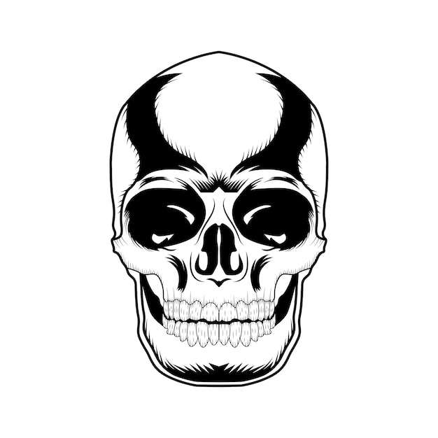 Skull Vector art and graphic