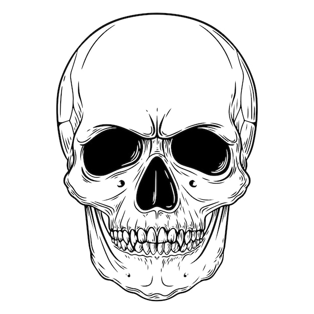 Skull Vector artistic illustration handmade made with pen and ink on paper