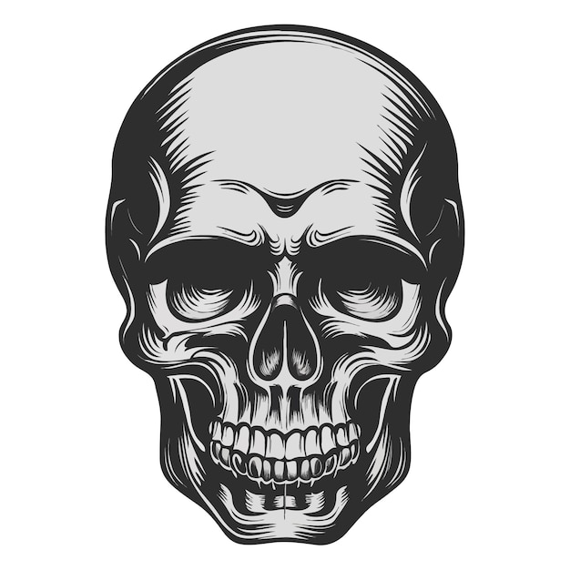 Vector skull vector design