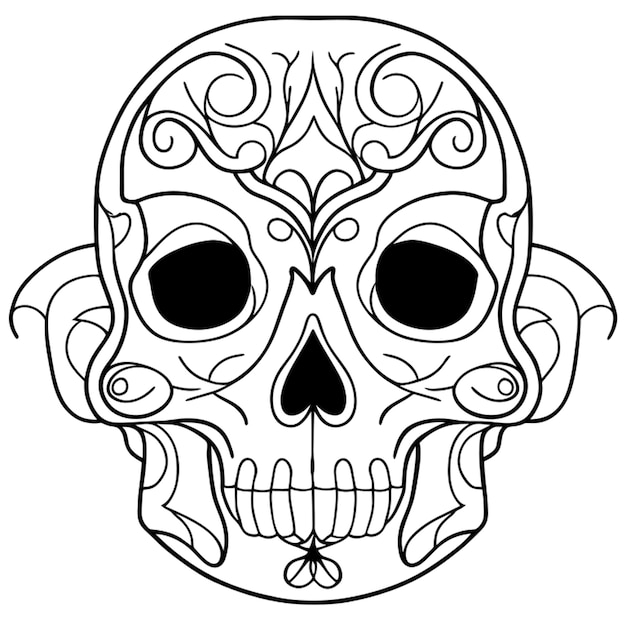 skull vector illustration line art