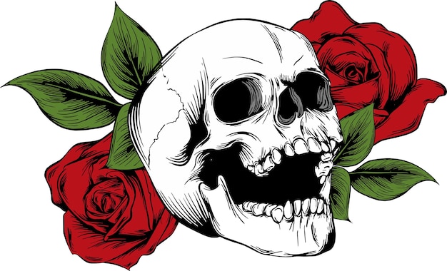 Skull with flowers with roses Drawing by hand Vector