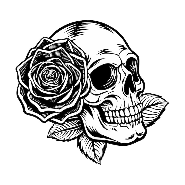 Vector skull with rose black and white vector art illustration