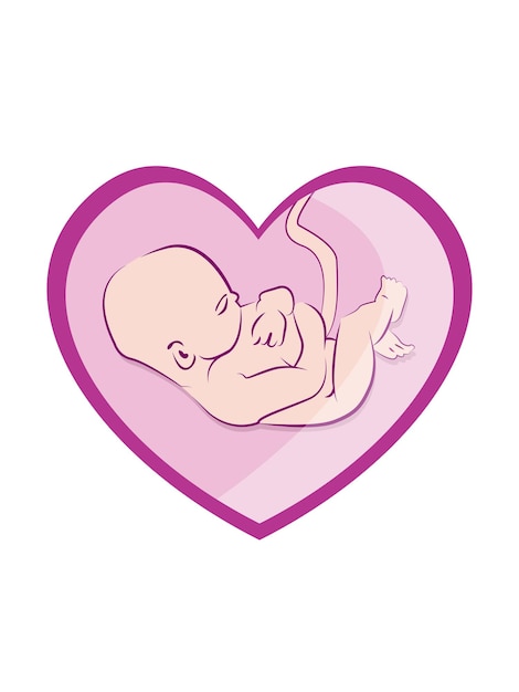 Sleeping baby in the womb in the shape of a heart.