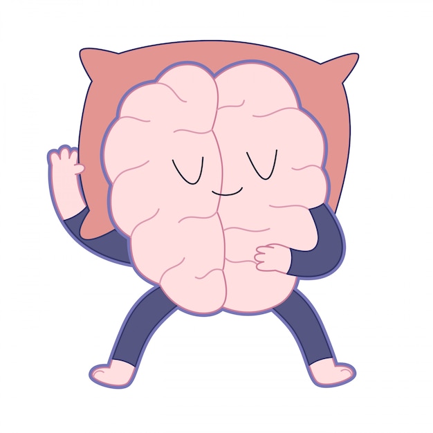 Sleeping brain