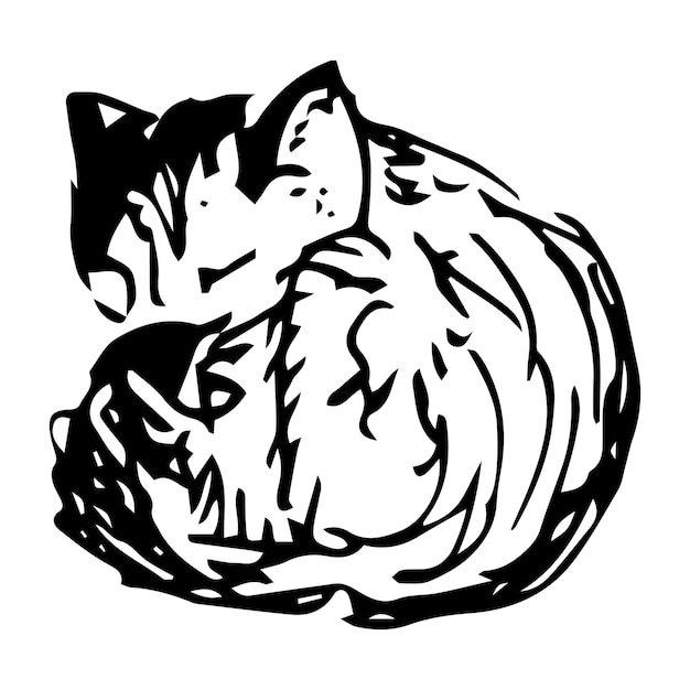 A sleeping cat curled up in a ball