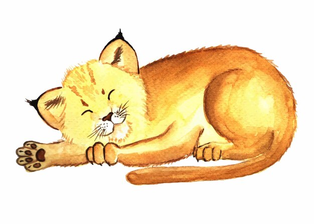 Sleeping lynx watercolor illustration